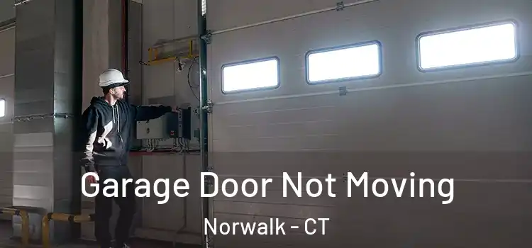  Garage Door Not Moving Norwalk - CT
