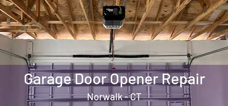  Garage Door Opener Repair Norwalk - CT