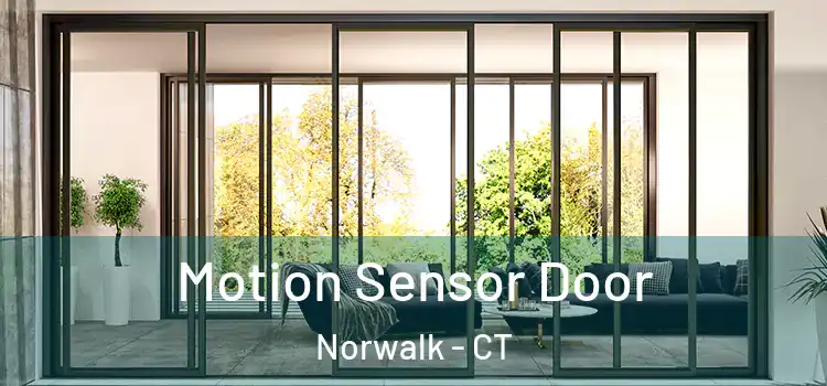 Motion Sensor Door Norwalk - CT
